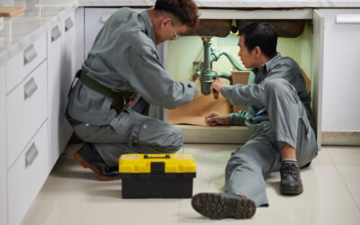 Top Septic Tanks Plumber Expertise